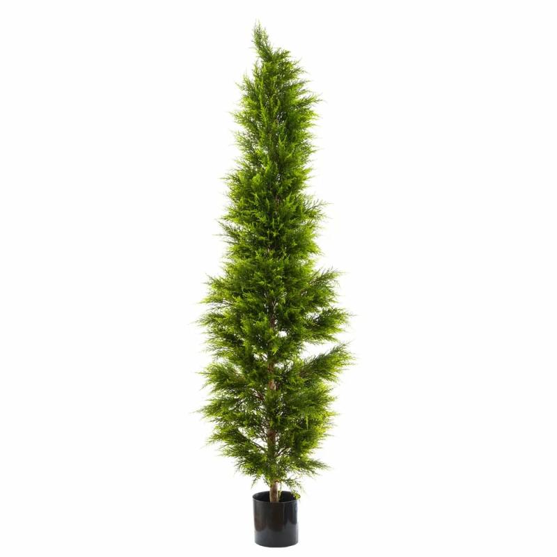 Cypress Pine 2M Artificial Flowers & Plants