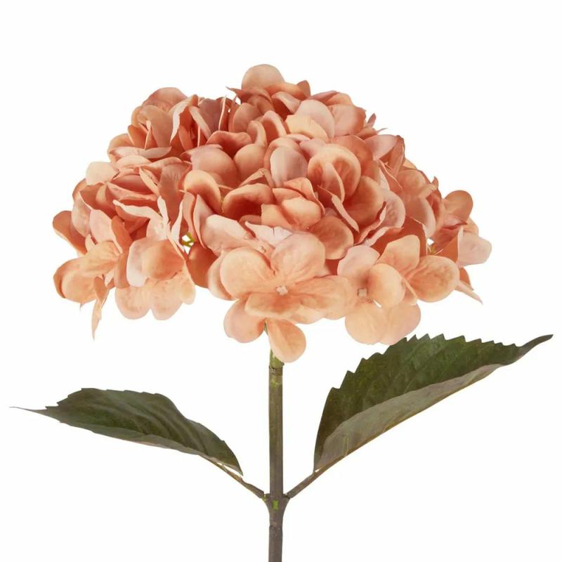 Dried Look Hydrangea Stem 48Cm Apricot Artificial Flowers & Plants