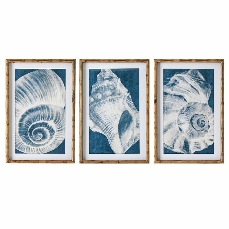 Elouera Vintage Shells Wall Art Set Of 3 Wall Art