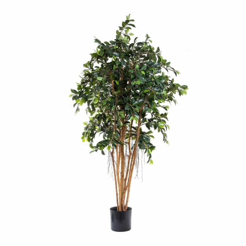 Ficus Retusa 1.8M Artificial Flowers & Plants