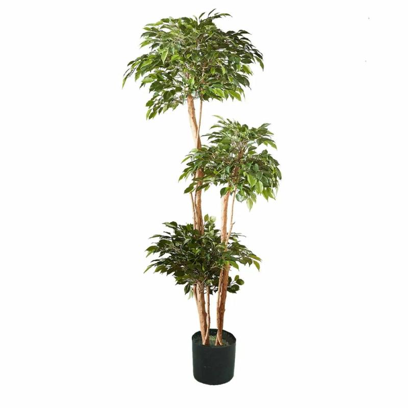 Ficus Tree 180Cm Artificial Flowers & Plants