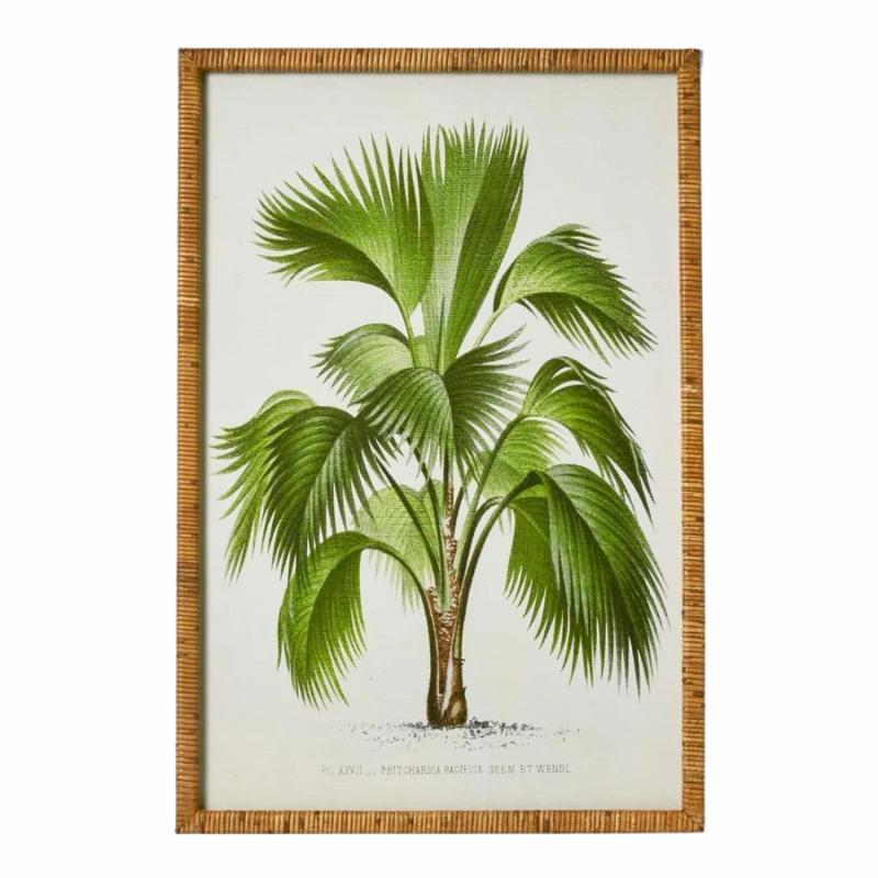 Palm Botanical Wall Art A Wall Art