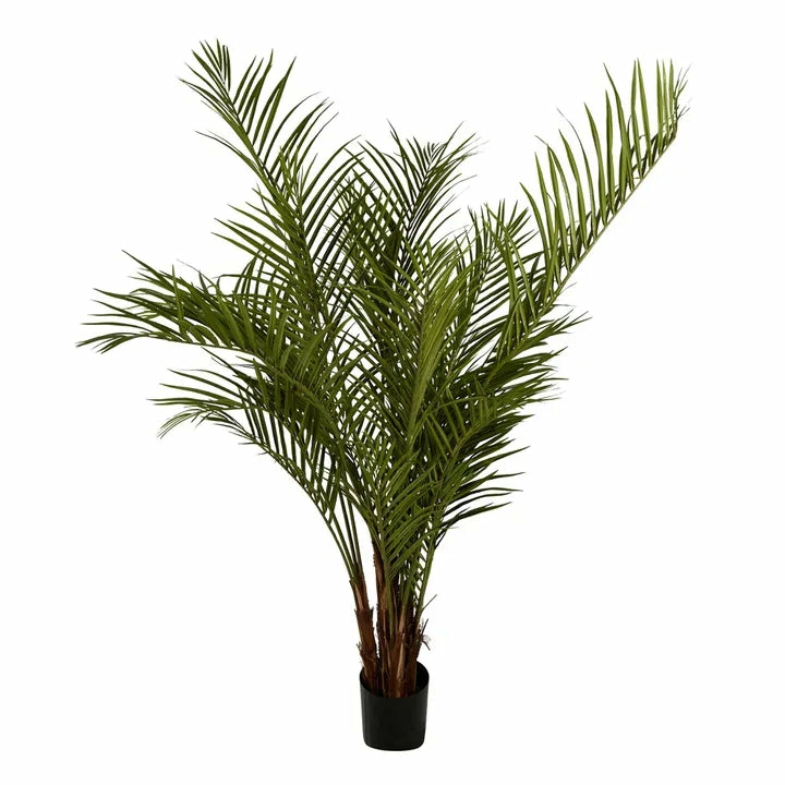 Palm Tree 2M Artificial Flowers & Plants