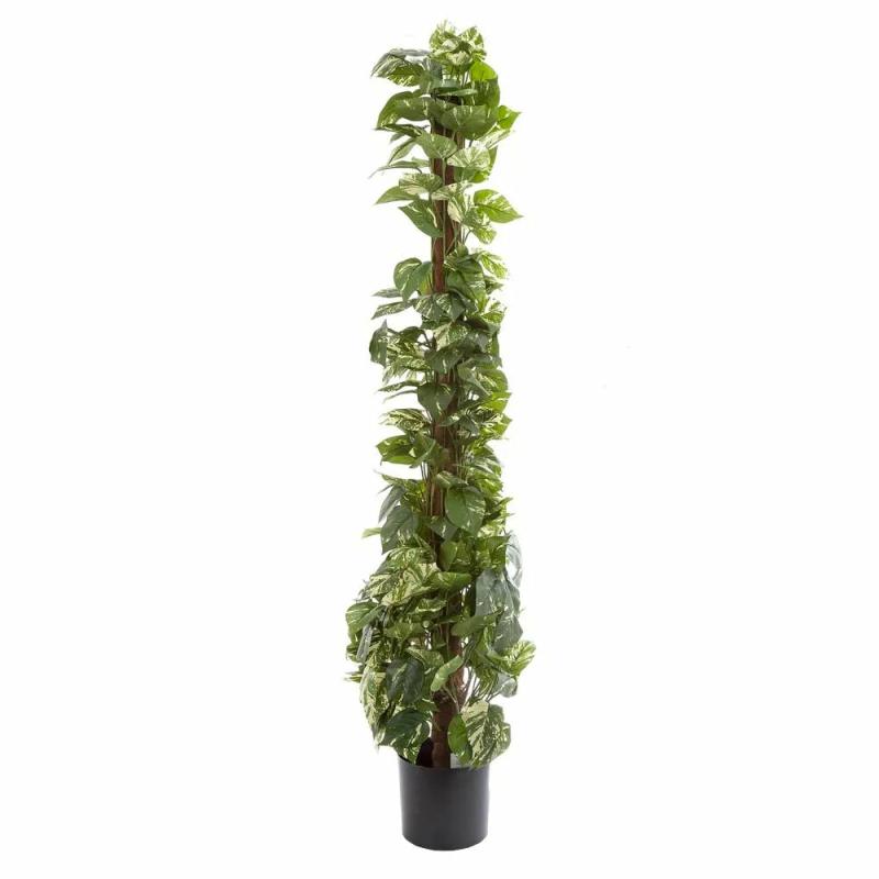 Pothos Vines On Coconut Pole 1.5M Artificial Flowers & Plants