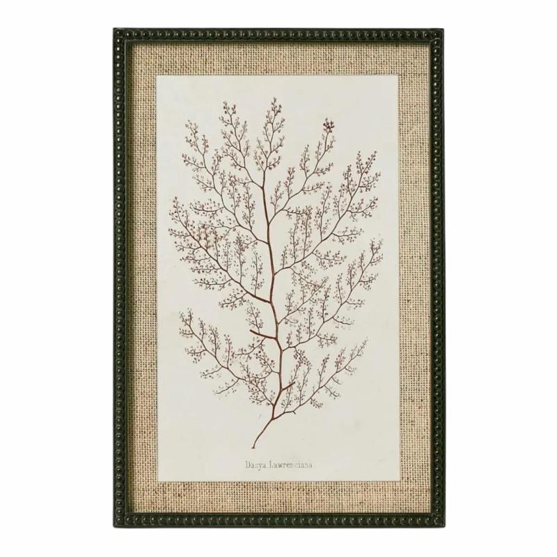 Sepia Coral Wall Art B Wall Art