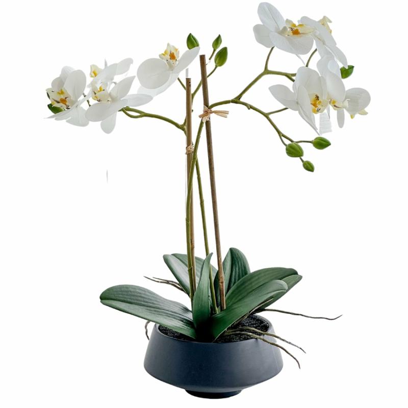 White Orchid In Black Pot Medium Artificial Flowers & Plants